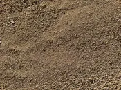 Desert Gold