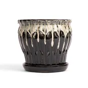 6" Honey Cream Over Coffee Pinwheel Fluted Orchid Pot