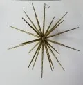 DECORATION, STAR HANGER 13″ GOLD