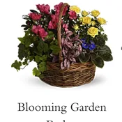Plants basket 104