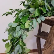 Eucalyptus, Italian Ruscus & Salal