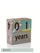 Baby Milestone Blocks, Set of Cubes, Decor for your pictures by Baby Tales