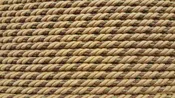 1/2" Beige, Light Olive & Brown Decorative Cording - 5 Yards