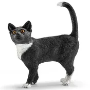 13770 Cat, Standing