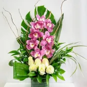 Cymbidium Orchid with a Half Dozen Roses FS25