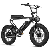 MEELOD DK200SE — Rogan E-Bikes | St. Petersburg, FL