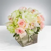 Elegant