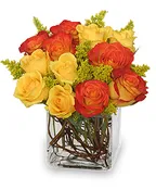 Autumn Flame