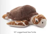 Plush- 10″ Loggerhead Sea Turtle