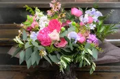 PROVENCE PINKS
