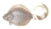 Sanddabs