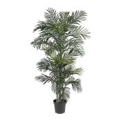 6.5 ft. Suncrest Palm Tree