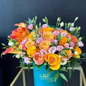 Peachy and Orange!