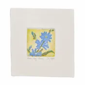 ‘Chicory’ Etching