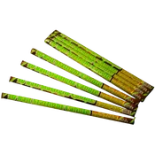 10 Ball Exploding Roman Candle
