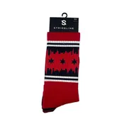 Chicago Flag Skyline Socks