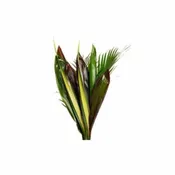20 Exotic Tropical Foliage Bouquet