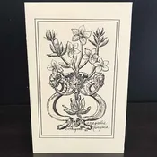 Andrea Strongwater Black & White 1983 "Anagallis Linifolia" 5.5x8.5 Notecard