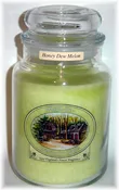 Honey Dew Melon