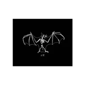 A Bat Print