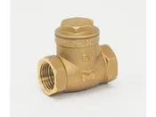 ProLine Series  3/4" FIP x 3/4" FIP Swing Check Valve