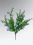 Jacob’s Ladder Bushes