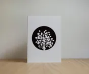 Baby's breath