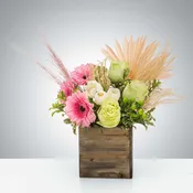 Boho Breeze by BloomNation™