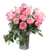 Pink Roses (24)
