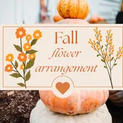 Fall Designer Choice
