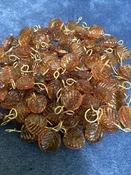 100 pieces vintage glass leaves Amber color