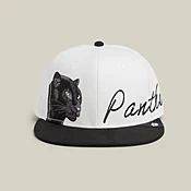 6-Panel Panther Script