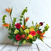 Birds in Bloom