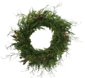 24" Wild Cedar Wreath W/Pinecones Plastic