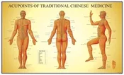 Acupoints of TCM Chart Male