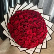 Sahara Love Red 75 - 100