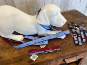 American Dog Collar