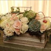 Shabby Succulent