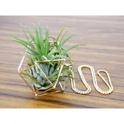 Geodesic Dome Charm Necklace With Air Plant
