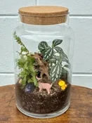 Tea & Terrariums Workshop — Wild Roots