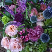 Evanston Weekly Subscription — FlowersFlowers