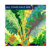 All Stars Kale Mix Seeds Art Pack