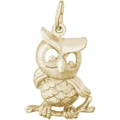 Graduation Owl- Item No: 265780
