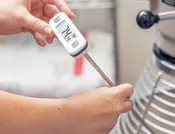 24" Digital Thermometer