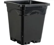 Active Aqua 12 in x 12 in x 12 in Square Black Pot