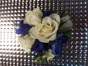 White &amp;amp; Blue Wristlet