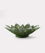 Agave Salad Bowl:: Green