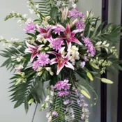Lily Remembrance