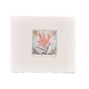 ‘Indian Paintbrush’ Etching