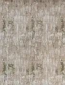 Sierra ┃Latte